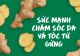 SỨC MẠNH CHĂM SÓC DA VÀ TÓC TỪ GỪNG